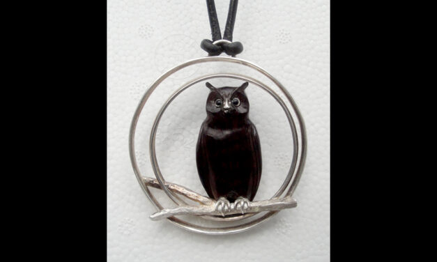 The Owl and the Moon