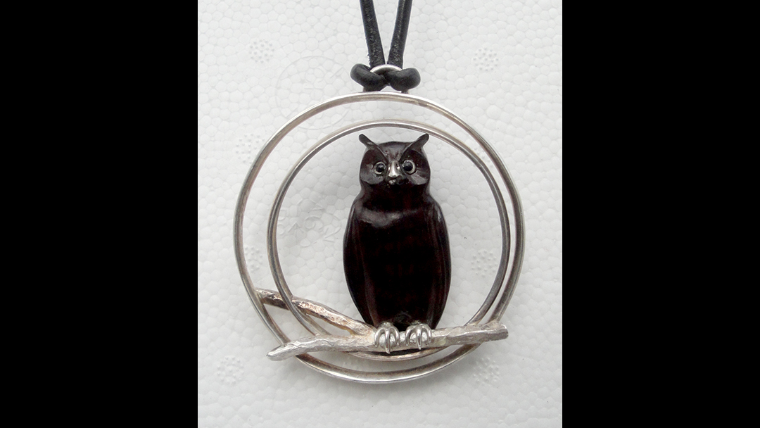 The Owl and the Moon